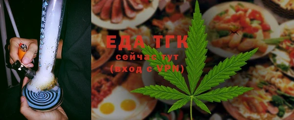 индика Бронницы