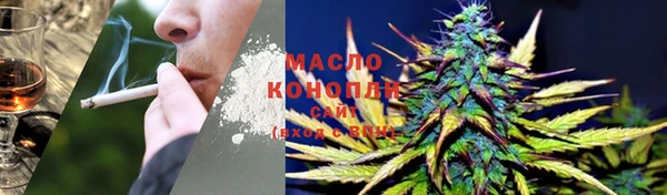 индика Бронницы