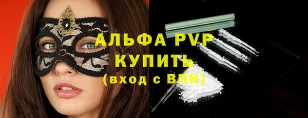 индика Бронницы