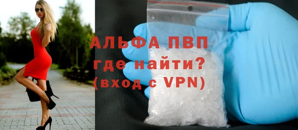 индика Бронницы