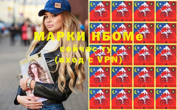 индика Бронницы