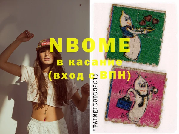 индика Бронницы