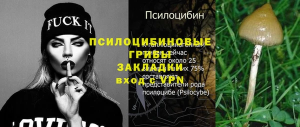прущая мука Бородино